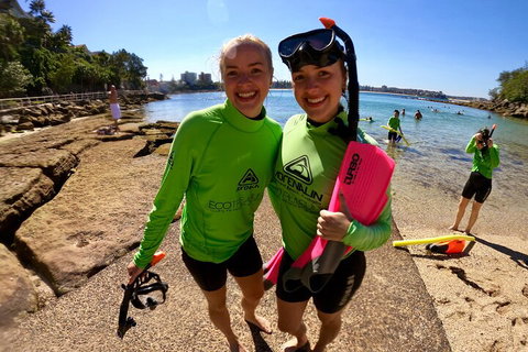 Manly Snorkel Trip And Nature Walk With Local Guide - Accommodation Mount Tamborine 1