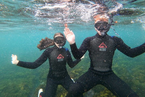 Manly Snorkel Trip And Nature Walk With Local Guide - Accommodation Mount Tamborine 3