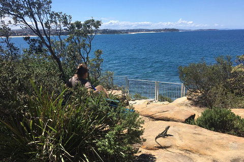 Manly Snorkel Trip And Nature Walk With Local Guide - Accommodation Mount Tamborine 4