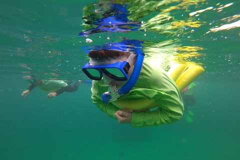 Manly Snorkel Trip And Nature Walk With Local Guide - Accommodation Mount Tamborine 5