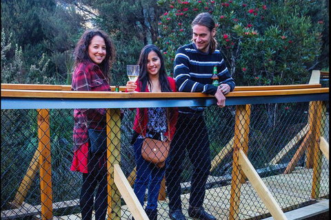 Sunset Experience - Accommodation Mount Tamborine 2