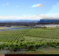 Private Hunter Valley Wine-Tasting Day Tour from Sydney - Accommodation Mount Tamborine