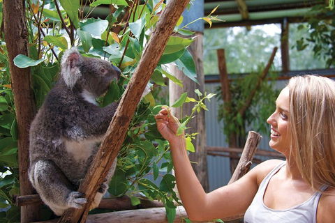 Private Guided Tour: Blue Mountains Tour From Sydney - Accommodation Mount Tamborine 5
