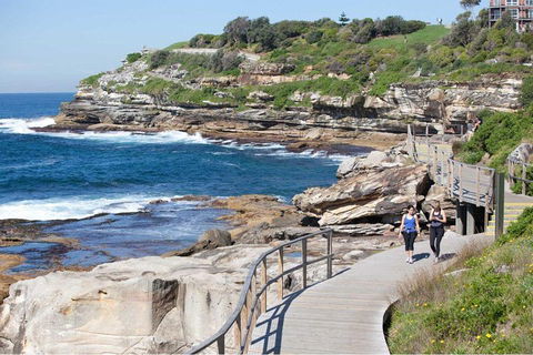 Private Tour: Sydney City Highlights - Accommodation Mount Tamborine 2