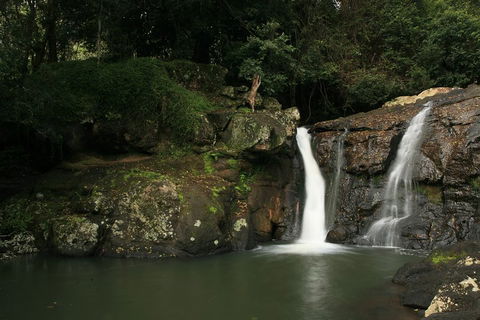 Hinterland Magic & Glow-worm Experience - Accommodation Mount Tamborine 2