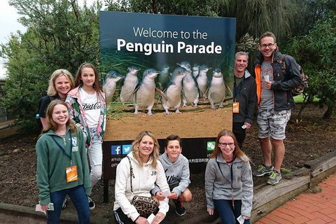 Phillip Island Medium Size Group Tour - Accommodation Mount Tamborine 5