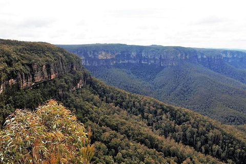 Blue Mountains - Accommodation Mount Tamborine 3
