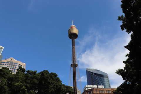Private Sydney City Customized Tour - Accommodation Mount Tamborine 0