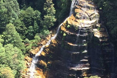 Private Blue Mountains Tour With Kangaroo And Koala Experience - Accommodation Mount Tamborine 5
