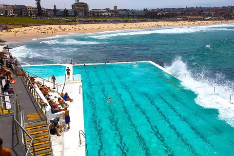 Private Sydney Half Day Tour Including Sydney Opera House And Bondi Beach - Accommodation Mount Tamborine 1
