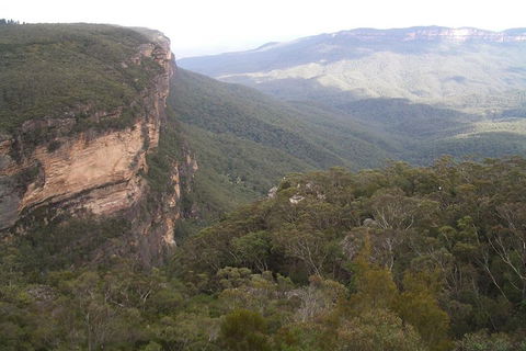 Full-Day Private Blue Mountains Tour With River Cruise - Accommodation Mount Tamborine 3