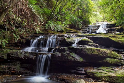 Private All Blue Mountains Day Tour - Accommodation Mount Tamborine 1