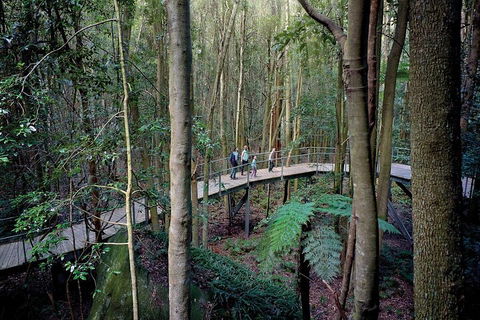 Private All Blue Mountains Day Tour - Accommodation Mount Tamborine 4