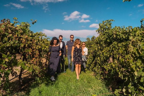 Barossa Valley Private Tour (from 2 To 11 People) - Accommodation Mount Tamborine 0