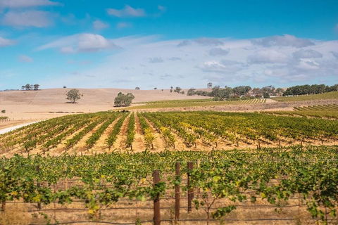 Barossa Valley Private Tour (from 2 To 11 People) - Accommodation Mount Tamborine 2