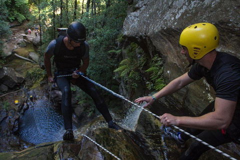 Blue Mountains Empress Canyon Adventure From Wentworth Falls - Accommodation Mount Tamborine 2