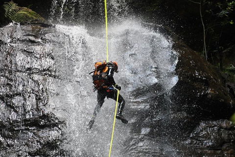Blue Mountains Empress Canyon Adventure From Wentworth Falls - Accommodation Mount Tamborine 3