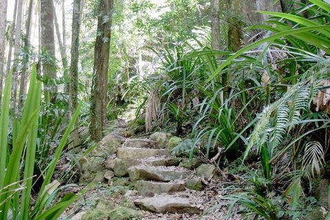 Byron Bay Combo: Minyon Falls And Hinterland Day Trip And Learn To Surf At Byron Bay - Accommodation Mount Tamborine 3