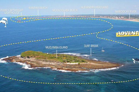 1.5HR Mudjimba Island Wildlife Safari - Accommodation Mount Tamborine 1