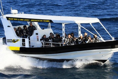 1.5HR Mudjimba Island Wildlife Safari - Accommodation Mount Tamborine 2