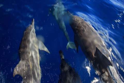 1.5HR Mudjimba Island Wildlife Safari - Accommodation Mount Tamborine 3