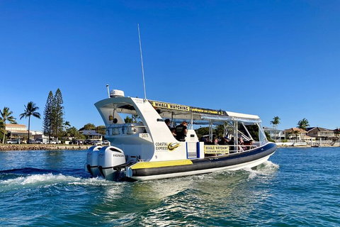 1.5HR Mudjimba Island Wildlife Safari - Accommodation Mount Tamborine 4
