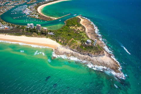 1.5HR Mudjimba Island Wildlife Safari - Accommodation Mount Tamborine 5