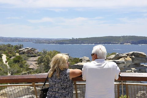 Sydney Sightseeing Bus Tours - Accommodation Mount Tamborine 3