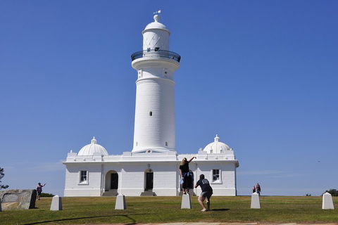 Sydney Sightseeing Bus Tours - Accommodation Mount Tamborine 5