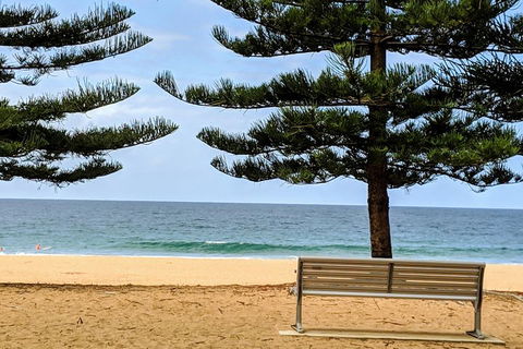 Manly & Sydney's Northern Beaches With 'Personalised Sydney Tours' - Accommodation Mount Tamborine 0