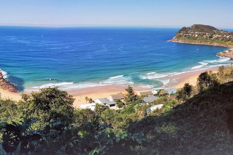 Manly & Sydney's Northern Beaches With 'Personalised Sydney Tours' - Accommodation Mount Tamborine 2