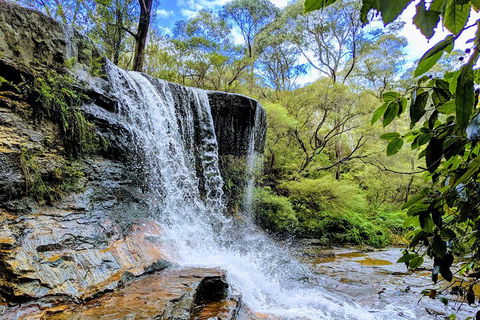 Blue Mountains Private Tour - Wild Kangaroos, Waterfalls And The Three Sisters - Accommodation Mount Tamborine 5