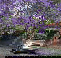 Sydney Secrets  Bondi Beach Private 4 Hr Morning with Personalised Sydney Tours - Accommodation Mount Tamborine