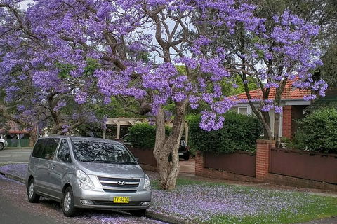Sydney Secrets & Bondi Beach Private 4 Hr Morning With Personalised Sydney Tours - Accommodation Mount Tamborine 0