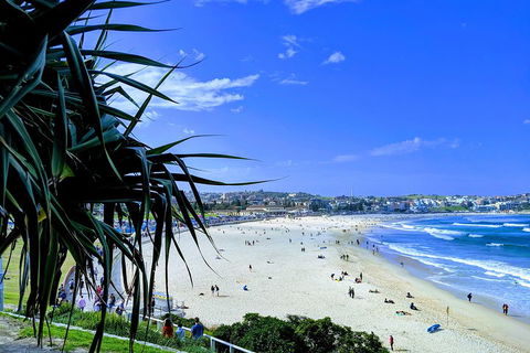 Sydney Secrets & Bondi Private 4 Hour Afternoon With 'Personalised Sydney Tours' - Accommodation Mount Tamborine 0