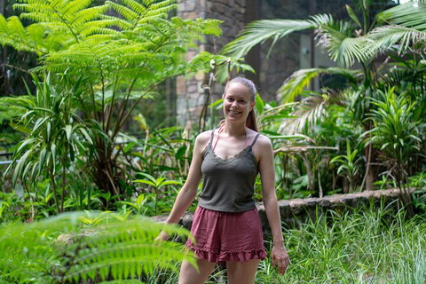 Full-Day Guided Hinterland Adventure Tour In Queensland - Accommodation Mount Tamborine 0