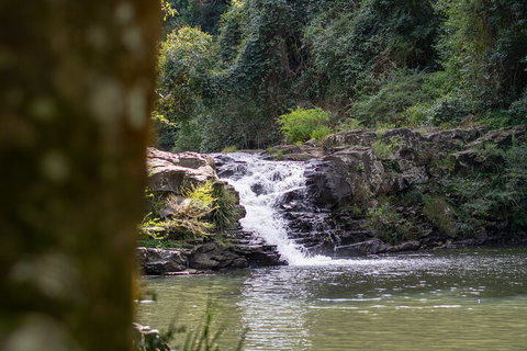 Full-Day Guided Hinterland Adventure Tour In Queensland - Accommodation Mount Tamborine 1