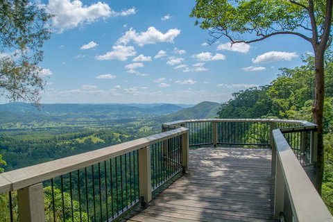 Full-Day Guided Hinterland Adventure Tour In Queensland - Accommodation Mount Tamborine 2