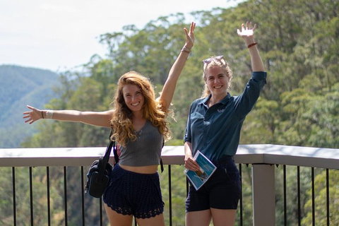 Full-Day Guided Hinterland Adventure Tour In Queensland - Accommodation Mount Tamborine 3