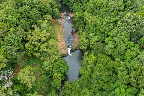 Full-Day Guided Hinterland Adventure Tour In Queensland - Accommodation Mount Tamborine 4