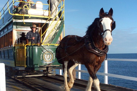 Full-Day Tour In South Australia Highlights - Accommodation Mount Tamborine 1