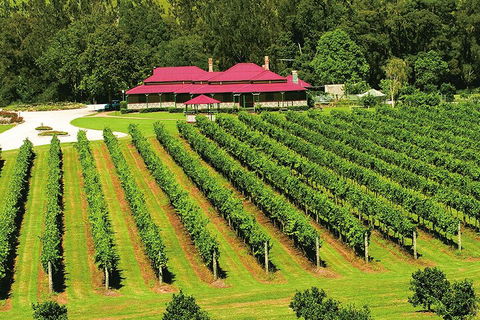 O'Reilly's & Lamington National Park From Gold Coast - Accommodation Mount Tamborine 2