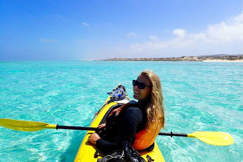 Lagoon Explorer - Ningaloo Reef Full-Day Kayaking And Snorkeling Adventure - Accommodation Mount Tamborine 1