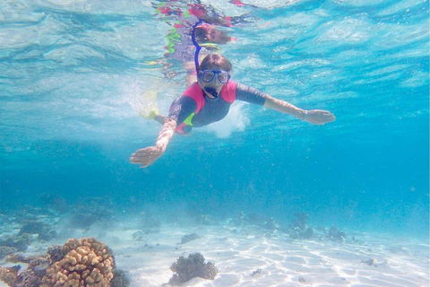Lagoon Explorer - Ningaloo Reef Full-Day Kayaking And Snorkeling Adventure - Accommodation Mount Tamborine 5