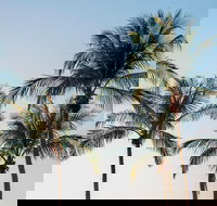 Darwin City Sightseeing Tour - Accommodation Mount Tamborine