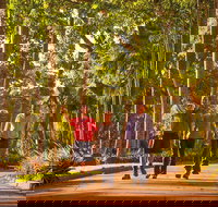 Darwin City Sights and Jumping Crocodile Cruise - Accommodation Mount Tamborine