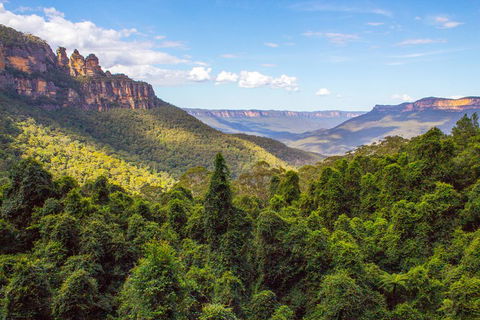 Blue Mountains Nature And Wildlife Day Tour From Sydney - Accommodation Mount Tamborine 1