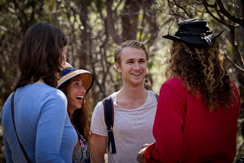 Blue Mountains Nature And Wildlife Day Tour From Sydney - Accommodation Mount Tamborine 4