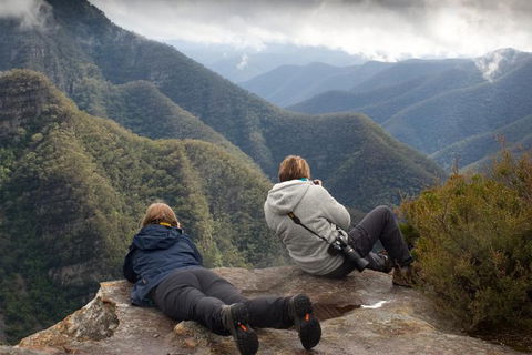 Inside The Greater Blue Mountains World Heritage - A Private Wildlife Safari Overnight - Accommodation Mount Tamborine 0