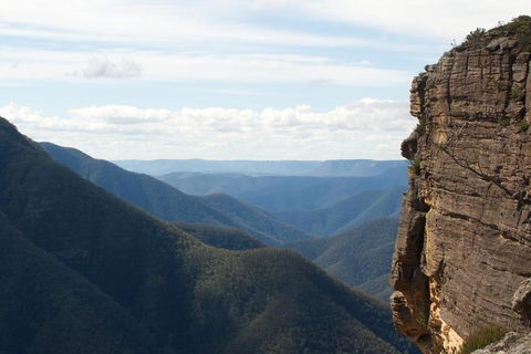 Inside The Greater Blue Mountains World Heritage - A Private Wildlife Safari Overnight - Accommodation Mount Tamborine 4